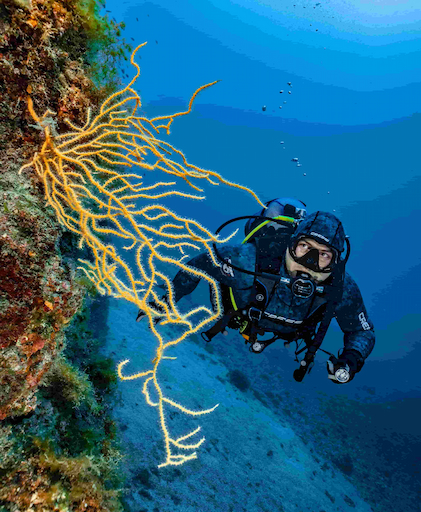 Tauchen und erkunden Sie die Tiefen Ostistriens mit Diving Rabac